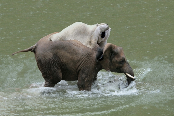 Creation of afraid of water?!: Step 6